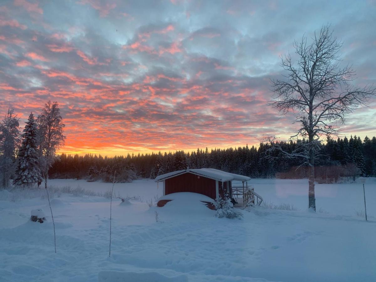 Luxus Tiny House Saagala Villa Tornio Eksteriør billede